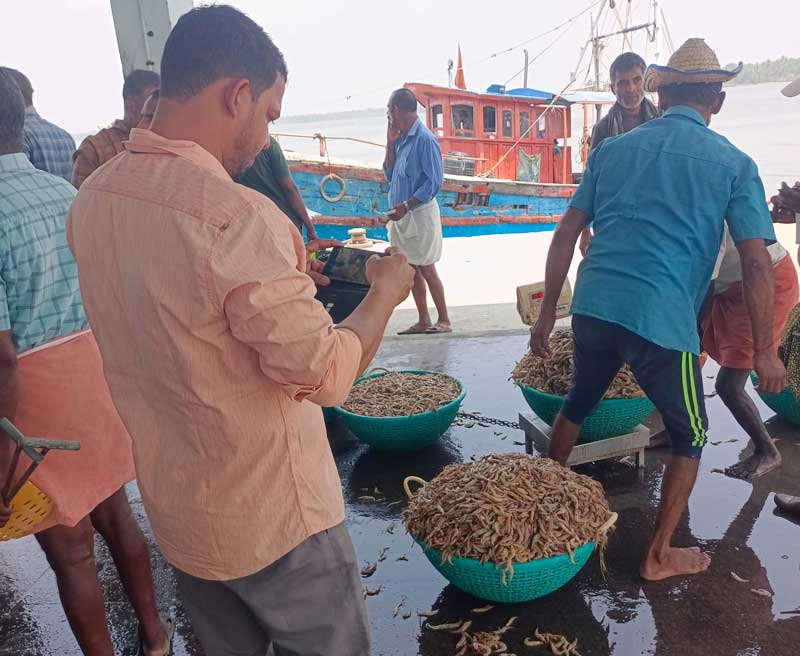 The public can now participate in marine fisheries research