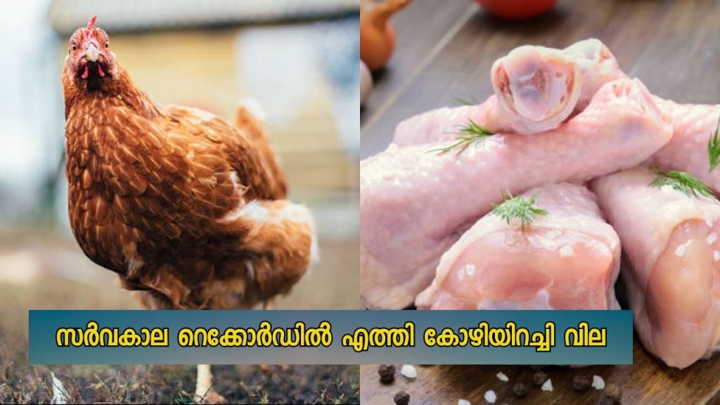 Chicken prices hit an all-time record in the state. 260 per kg of chicken
