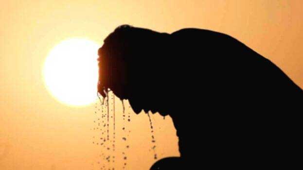 Kerala is under extreme heat; Maximum temperature at Palakkad 41°C