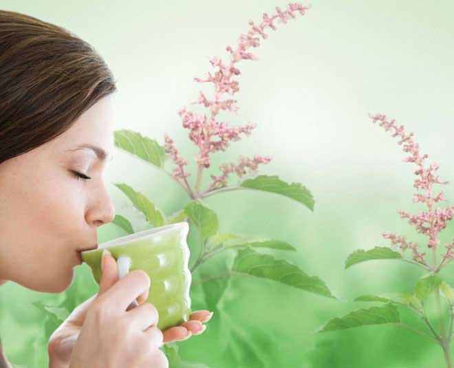 Benefits of drinking Tulsi water daily!