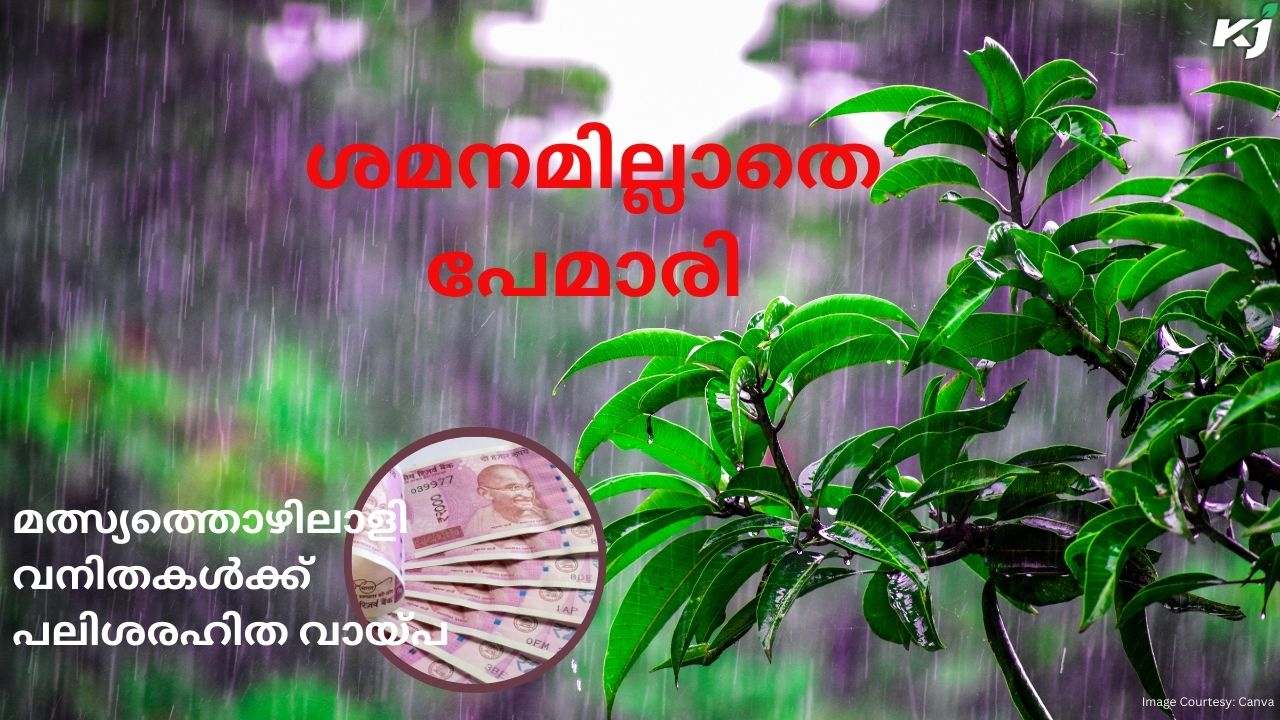 സംസ്ഥാനത്ത് ശക്തമായ മഴ തുടരുന്നു