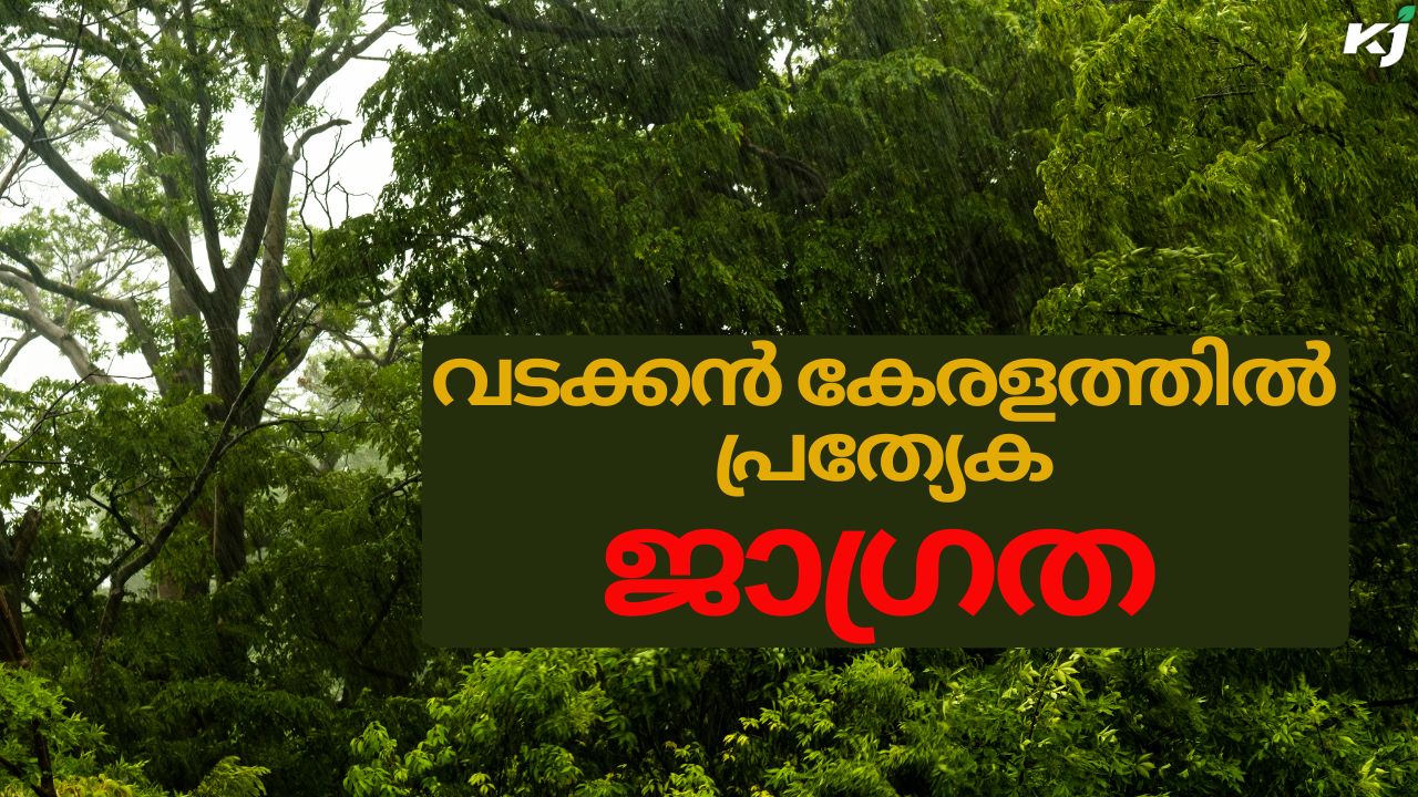 അടുത്ത 5 ദിവസവും കൂടി ശക്തമായ മഴ തുടരും; വിവിധ ജില്ലകളിൽ പ്രത്യേക ജാഗ്രതാ നിർദേശങ്ങൾ