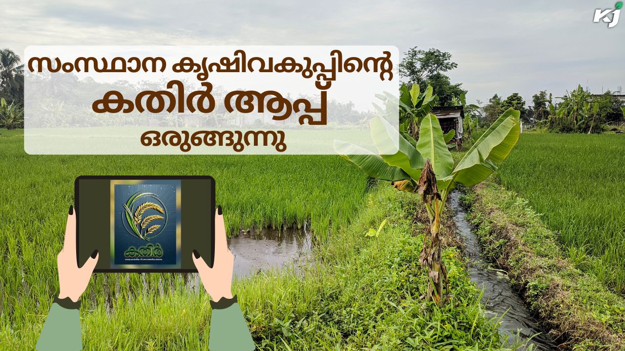 കർഷകർക്കുള്ള എല്ലാ സേവനങ്ങളും ഒരു കുടകീഴിൽ ലഭ്യമാക്കാൻ കൃഷിവകുപ്പിന്റെ കതിർ ആപ്പ്