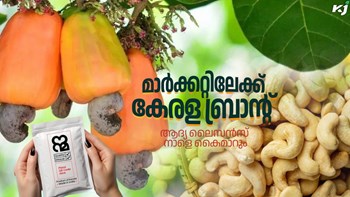 ഉത്പന്നങ്ങൾ ഇനി മുതൽ കേരള ബ്രാൻഡിലും, ആദ്യ ലൈസൻസ് നാളെ കൈമാറും... കൂടുതൽ കാർഷിക വാർത്തകൾ