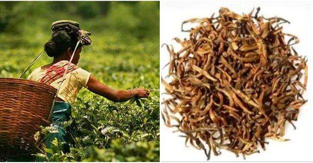 Tea per kg costs Rs.70,500