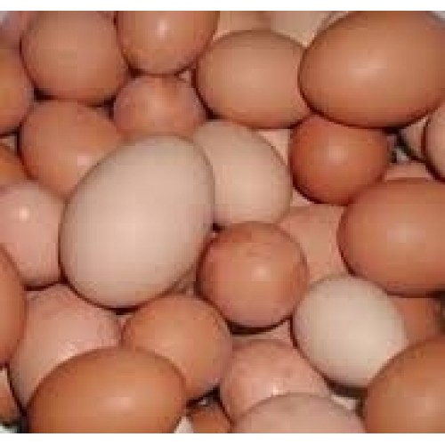 janova eggs