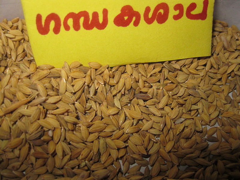 Gandhakasala rice