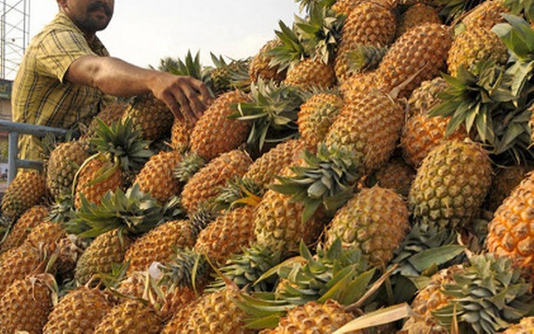 vazhakkulam  pineapple