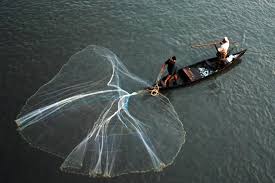 Inland fishing-Courtesy-Southern backwaters