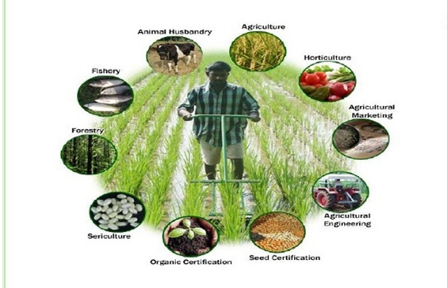 photo-courtesy- agronfoodprocessing.com